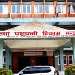 कृषि मन्त्रालयका जलाइएका सामग्रीको विवरण सङ्कलन गर्न समिति गठन
