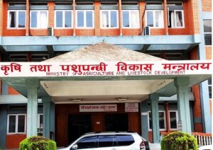 कृषिलाई आत्मनिर्भर बनाउने यस्तो छ सरकारको तयारी   