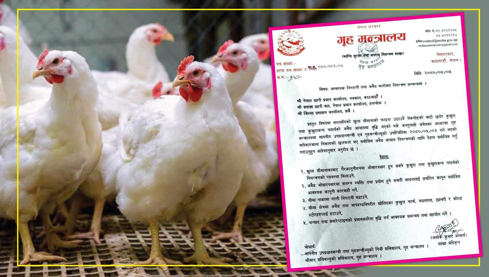 कुखुराको तस्करी रोक्न गृहको सर्कुलर, संलग्न व्यक्ति र सवारीसाधन दुवैमाथि कारबाही हुने