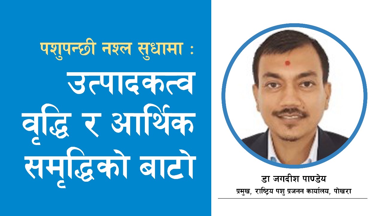 पशुपन्छी नश्ल सुधारमा चालिएका कदमहरू