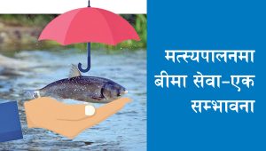 मत्स्यपालनमा बीमा सेवा–एक सम्भावना