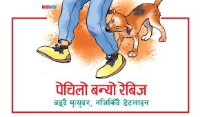पेचिलो बन्यो रेबिज बढ्दै मृत्युदर, नजिकिँदै डेटलाइन