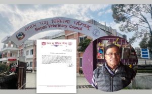 निलम्बनको अवज्ञा गरेपछि पशु चिकित्सक डा. टिकाराम न्यौपानेको दर्ता खारेज