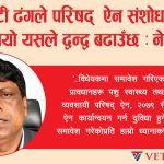 एकलौटी ढंगले परिषद् ऐन संशोधन गर्न लागियो, यसले द्वन्द्व बढाउँछ : नेभ्ला