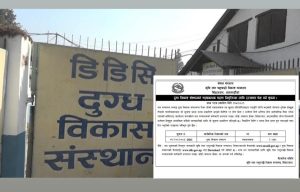 दुग्ध विकास संस्थानको महाप्रबन्धक पदका लागि दरखास्त आह्वान