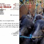 पशुपन्छी ढुवानी मापदण्ड संशाेधन गर्न सरकारले माग्याे सुझाव