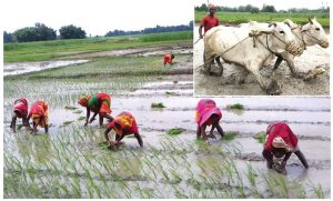 २३ लाख ८० हजार किसान सूचीकृत