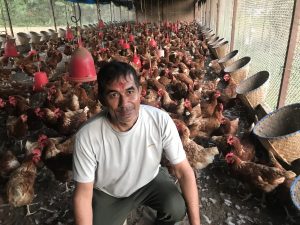 कुखुरापालनबाट मासिक एक लाख आम्दानी