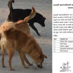 काठमाडौं महानगरपालिकाले वडाअनुसार कुकुर बन्ध्याकरणका लागि संस्थाहरू तोकियाे