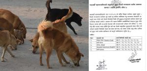 काठमाडौं महानगरपालिकाले वडाअनुसार कुकुर बन्ध्याकरणका लागि संस्थाहरू तोकियाे