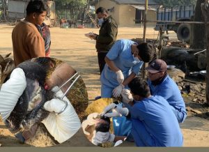 कैलालीमा खोरेत पुष्टि, खोप अभियानमा सहभागी हुन आग्रह