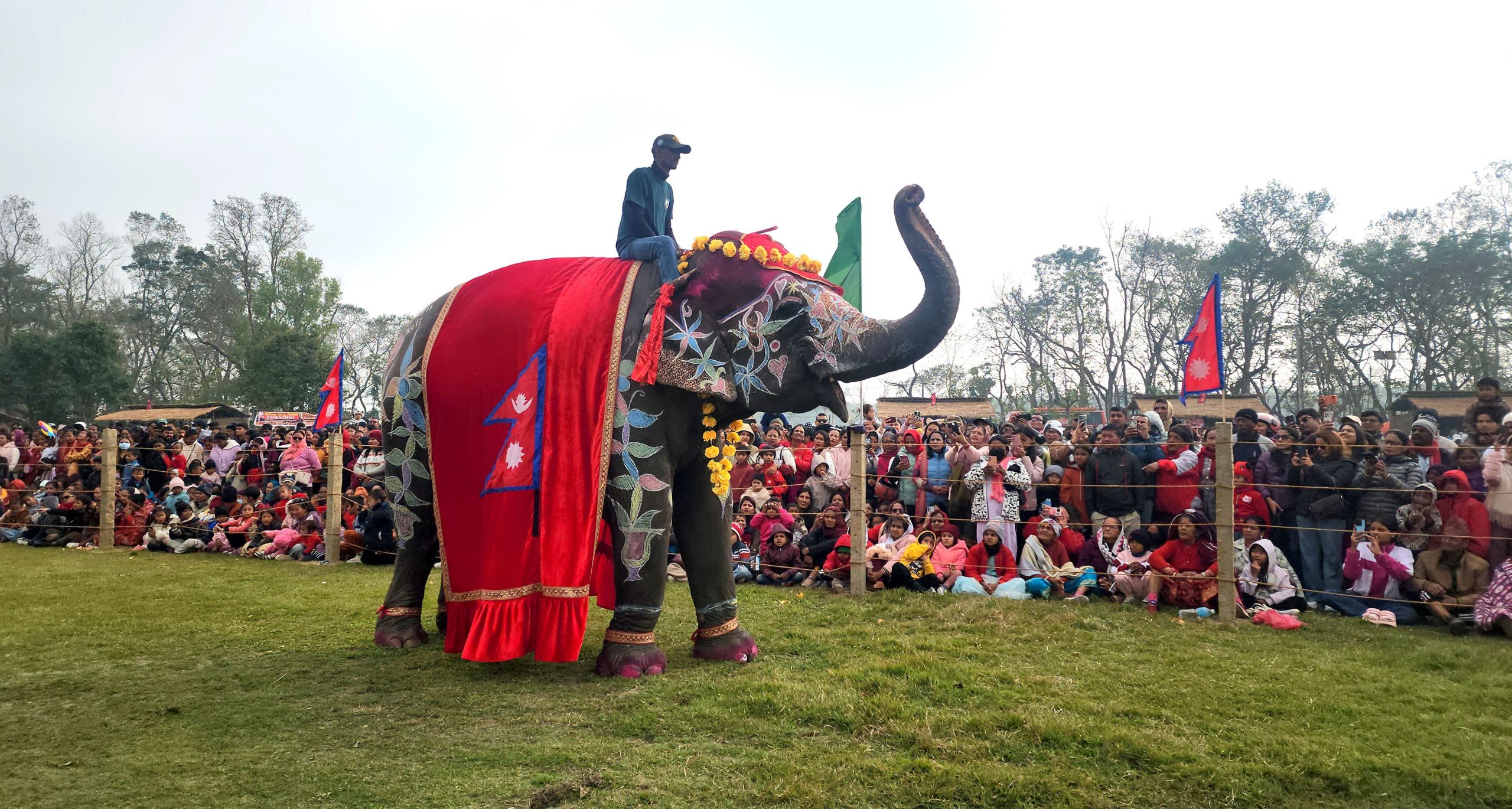 पशु अधिकारकर्मीको नजरमा चितवन महोत्सव